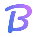 Brandfetch