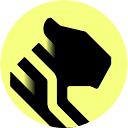 Tiger Data